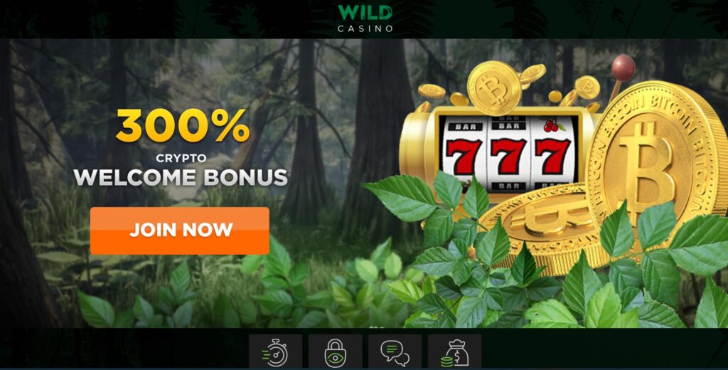 Wild Casino 300% Crypto Bonus